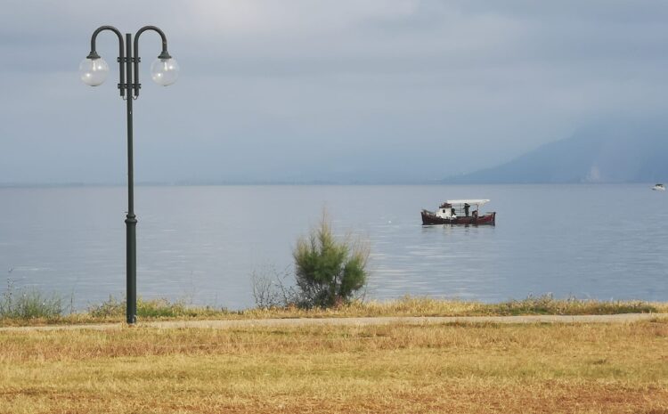  Νότιο Πάρκο Πάτρας