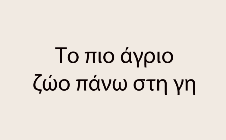  Το πιο άγριο ζώο απ΄ όσα γεννάει η γη