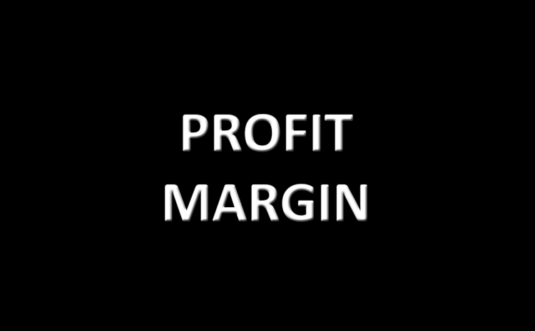  Profit Margin / Περιθώριο Κέρδους