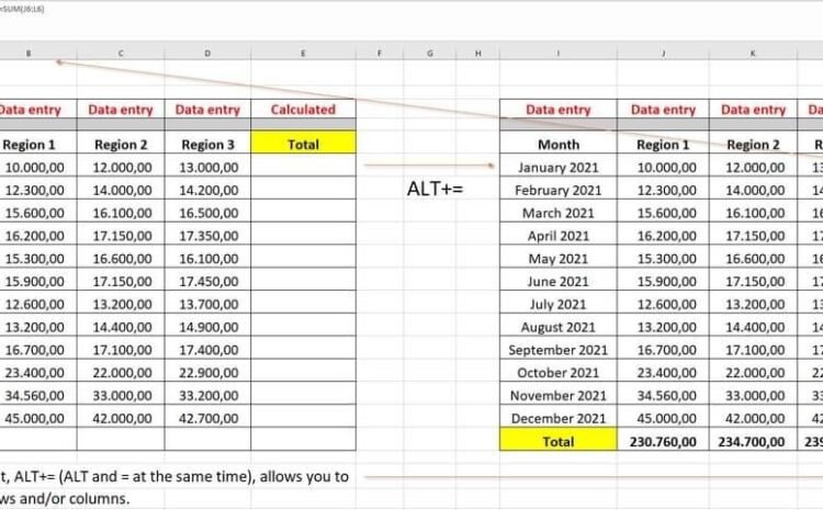  The AutoSum shortcut, ALT+= in Excel