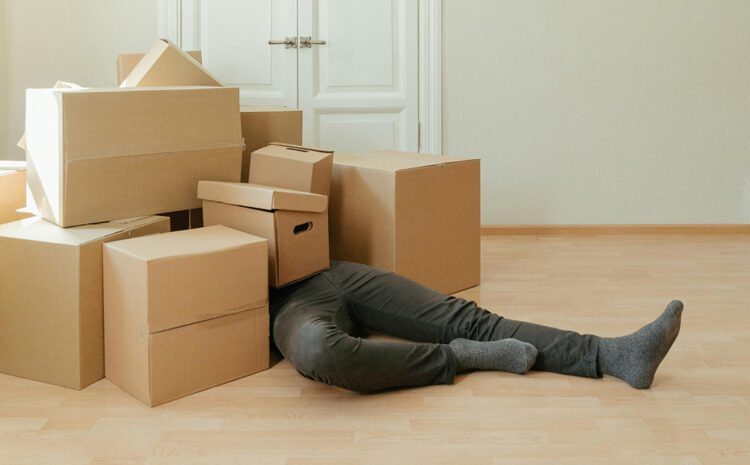  Our boxes