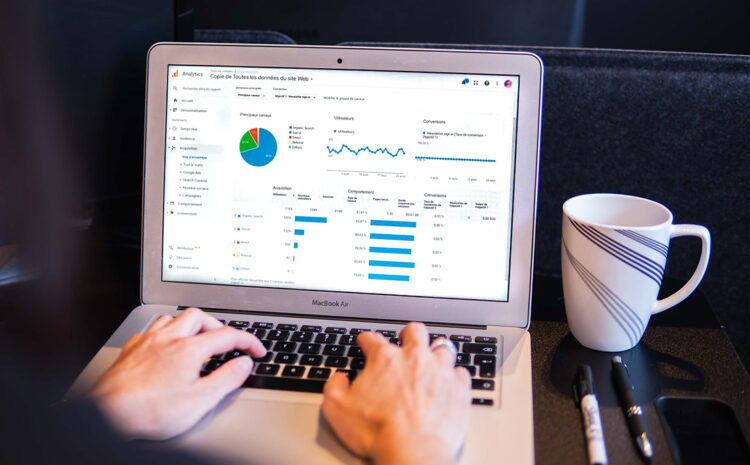  Creation of 2 dashboards (pivot table and graph) in excel