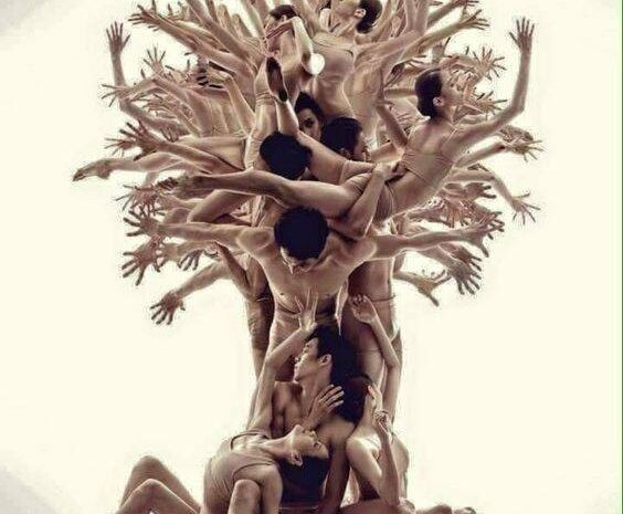  A Human Tree