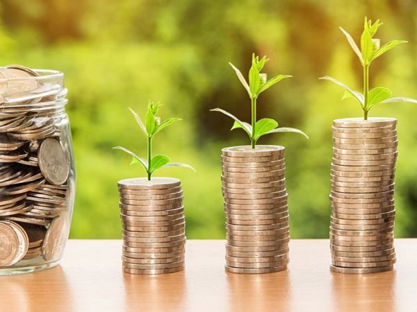 Important LESSON about MONEY – Attract the cat