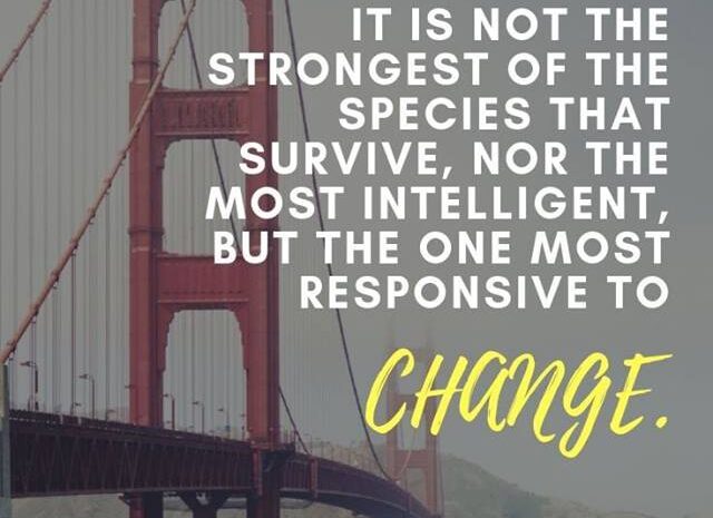  Be the one most responsive to change