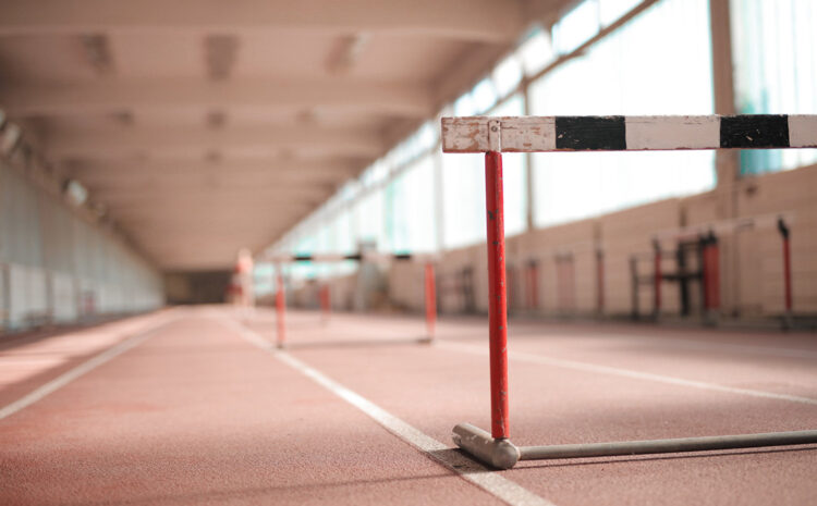  Every sale has 5 basic obstacles
