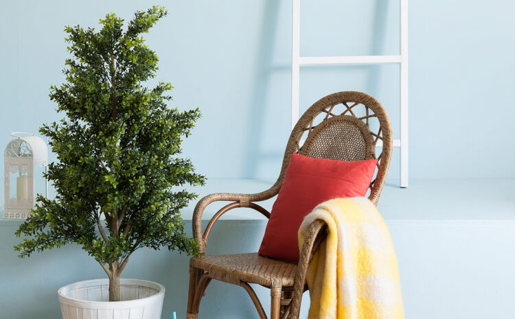  Clean And Colorful is in Vogue