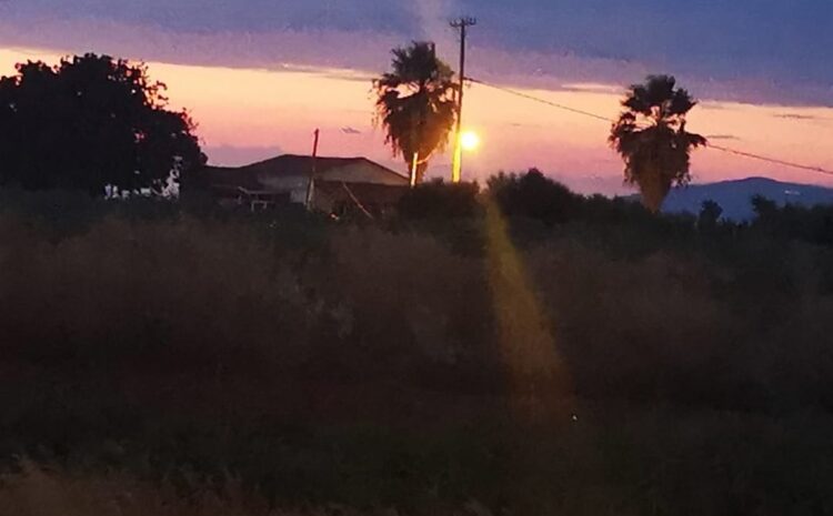  Sunset #2