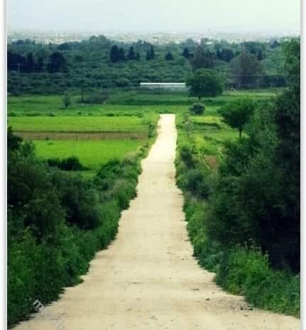  Νέα χρονιά